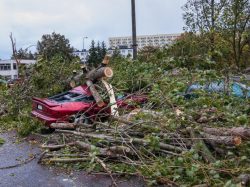 Fallen tree on car as an example of the need for comprehensive insurance