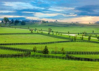 Image of Kentucky Horse Farm as Image for the Find Kentucky Insurance Agents Web Page