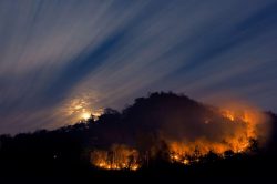 Image for blog post on how to prepare for wildfires near me